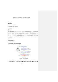 포항공대 화생공실험[포스텍 A] Pre-Report (PCR)