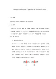 포항공대 화학생명공학실험[포스텍 A]Pre-Report (Restriction Enzyme Digestion &amp; Gel Purification)