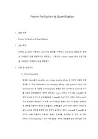 포항공대 화학생명공학실험[포스텍 A]Pre-Report (Protein Purification &amp; Quantification)