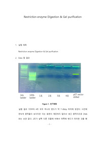 포항공대 화학생명공학실험[포스텍 A]Final-Report (Restriction enzyme Digestion &amp; Gel purification)