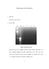 포항공대 화학생명공학실험[포스텍 A]Final-Report (PCR)