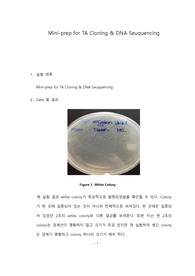 포항공대 화학생명공학실험[포스텍 A]Final-Report (Mini-prep for TA Cloning &amp; DNA Seuquencing)