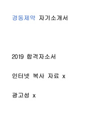 경동제약- 서류합격 자기소개서 //2019 첨삭자소서 // 인터넷 복사 자료 x // 진심으로 많은 도움이 되셨으면 좋겠습니다.