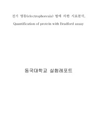 전기 영동(electrophoresis) 법에 의한 시료분석, Quantification of protein with Bradford assay 실험레포트