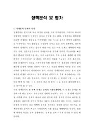 정책분석 및 평가단계 A+