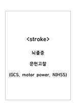 뇌졸중 stroke 문헌고찰(GCS, motor power, NIHSS)