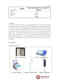 Restriction of DNA A+ 실험레포트(결과, 이론)