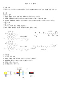 [일반생물학실험]잎의 색소 분리 결과보고서
