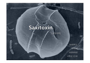 saxitoxin ppt