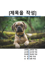 레포트 표지[강아지,개,동물,반려,애견,문화]