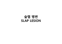 SLAP LESION (슬랩 병변)