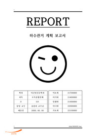SWMM을 이용한 민감도분석 토목종합설계 A+보고서
