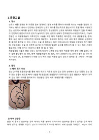 모성간호학 실습 A+ 받은 제왕절개 케이스, 문헌고찰, 간호진단2개 간호과정2개 (케이스스터디)