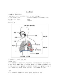 학점 4.3) A+받은 폐렴과제 입니다~!!!