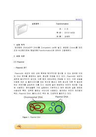 예비4_Transformation_2조 A+ 예비레포트