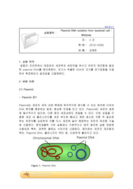 예비1_Miniprep A+ 예비레포트