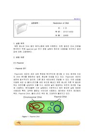 예비3_Restriction of DNA A+ 예비레포트