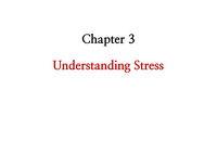 Chapter 3주차 Understanding Stress 총정리