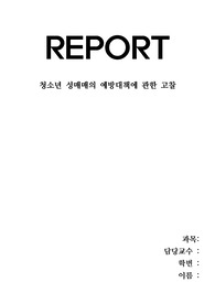 청소년 성매매의 예방대책에 관한 고찰