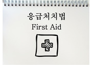 대한적십자사: 응급처치법 강사과정 강의파일