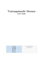 쯔쯔가무시병 CASE STUDY Tsutsugamushi Disease 간호과정 2개