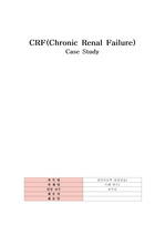 만성신부전 CASE STUDY CRF(chonic renal failure) 간호과정 2개