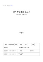 IPP 종합결과 보고서 (경영 컨설팅 회사)