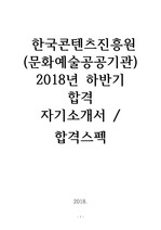 한국콘텐츠진흥원 2018년 하반기 합격 자기소개서 (합격스펙 포함)