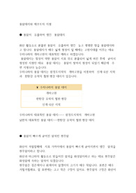 용암대지와 제주도의 지형