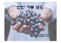 농수산물 유통경로관리 과정 분석(천안거봉포도)
