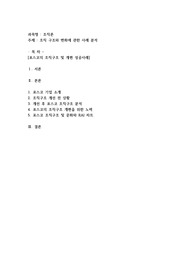 조직 구조와 변화에 관한 사례 분석(포스코)