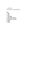 청소년의 개념을 설명하시오