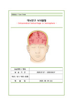 A+ 뇌내출혈 Case Study (간호진단 8개, 간호과정 3개)