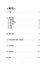 [아동간호학] A+받은 소아폐렴 케이스 - 문헌고찰, 간호진단, 간호과정 완벽 정리, 교수님 피드백 반영