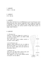 레이놀즈 실험 레포트