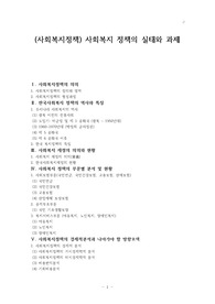 (사회복지정책) 사회복지 정책의 실태와 과제