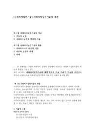 (사회복지실천기술) 사회복지실천기술의 개관