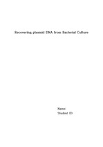Recovering plasmid DNA from Bacterial Culture