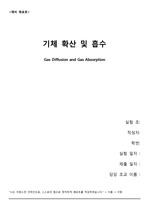 2019 인하대 화공실 A+기체확산 및 흡수 예비보고서