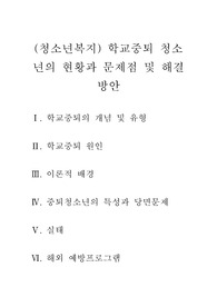(청소년복지) 학교중퇴 청소년의 현황과 문제점 및 해결방안