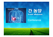 간농양 컨퍼런스, liver abscess,