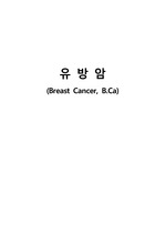 유방암 병태생리 및 Case(간호과정,간호진단 3개씩) A+ Report.