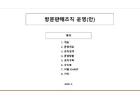 방문판매조직 운영(안)