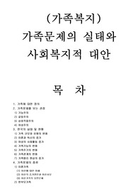 (가족복지) 가족문제의 실태와 사회복지적 대안