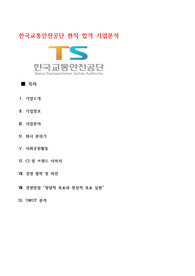 교통안전공단 기업분석 (합격자 현직이 분석하는 자료)