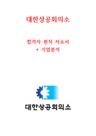 대한상공회의소 현직 합격 자소서&amp;기업분석(+재무분석) 최신 &lt;꿀자료&gt;