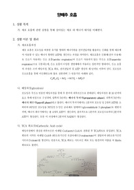 [일반생물학실험]양배추 호흡