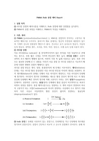 PMMA Bulk 중합 예비 레포트