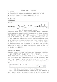 Polyamide 중합 예비 레포트