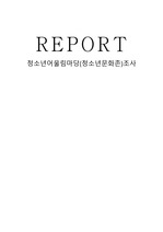 REPORT 청소년어울림마당(청소년문화존)조사